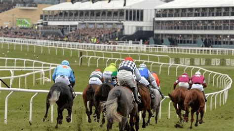 cheltenham card today|Today's Cheltenham Racecards .